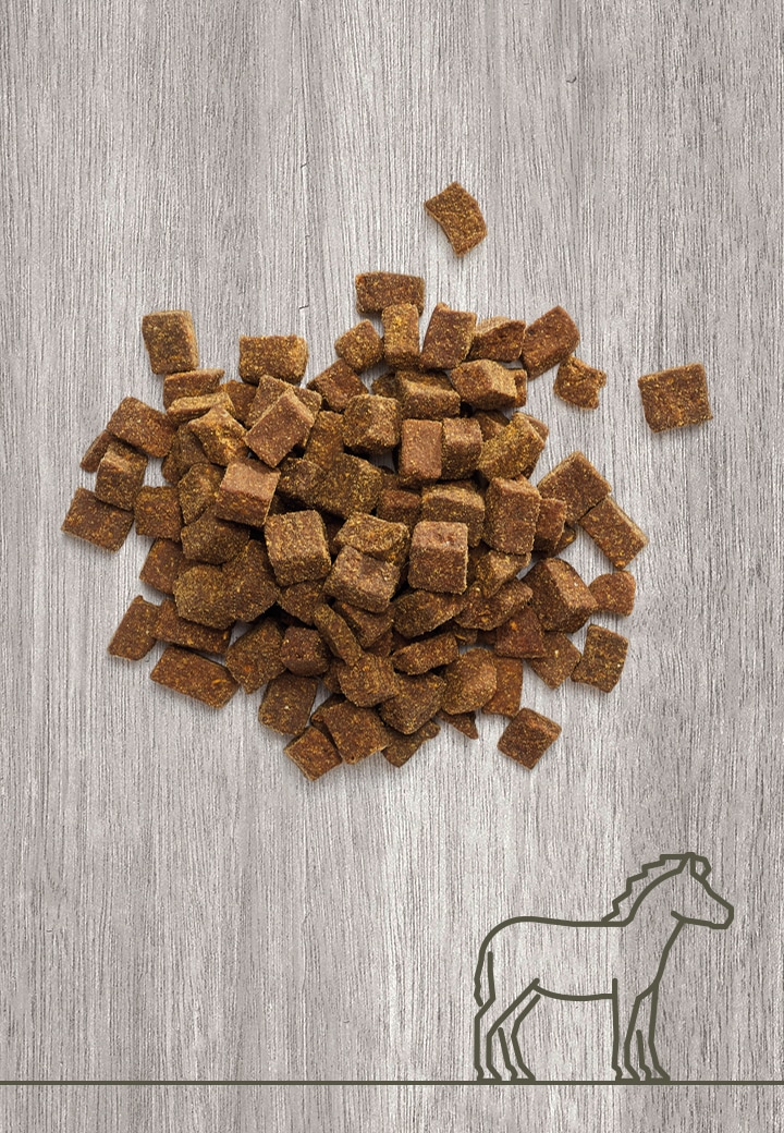 PferdefleischLeckerchen, 100g 250g 1000g für den Hund von VetConcept